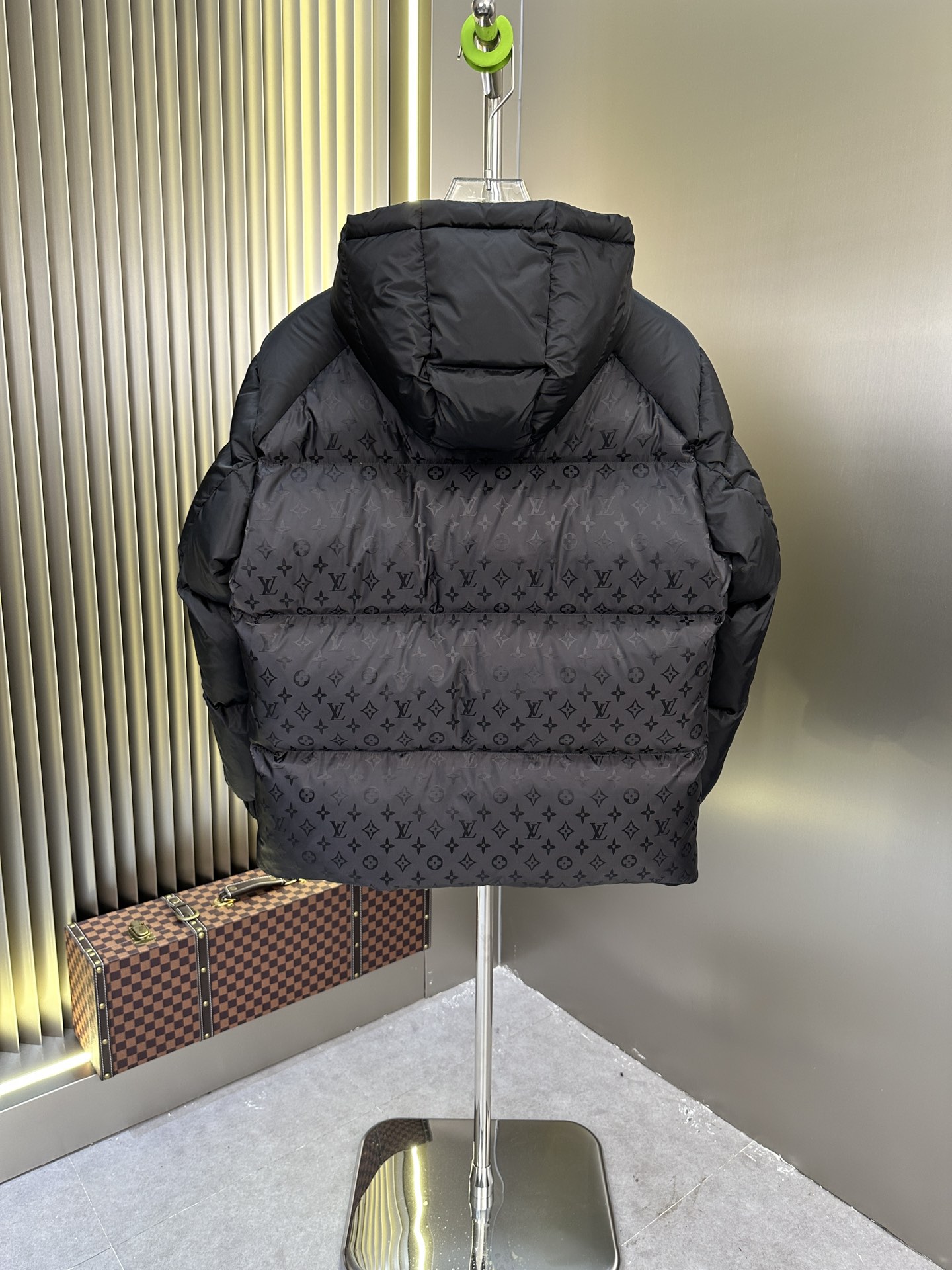 Louis Vuitton Down Jackets